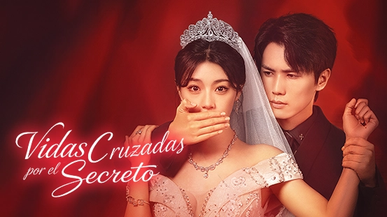 Una Mirada Más Cercana a [Doblado]Vidas cruzadas por el secreto: Una Relación Romántica Fiel