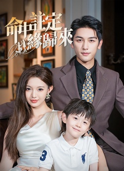 命中註定緣歸來